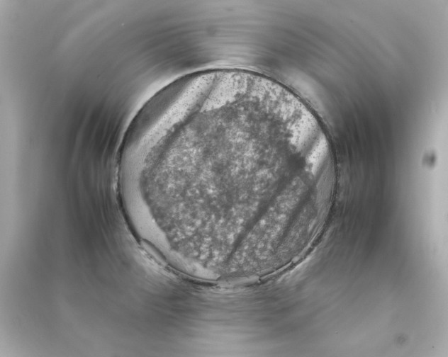 X0000090491284200708102211