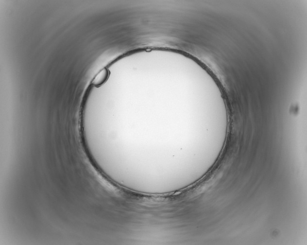 X0000090491285200708102211