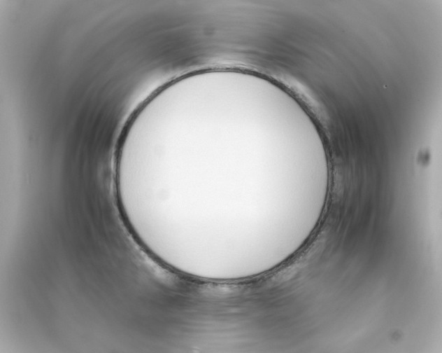 X0000090491286200708102211