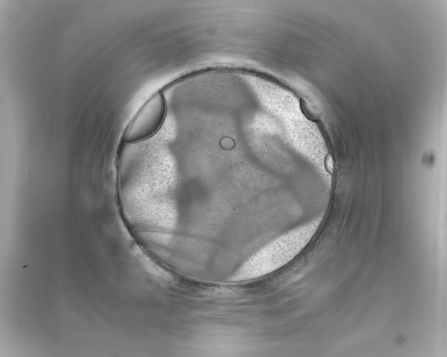 X0000090491287200708102211