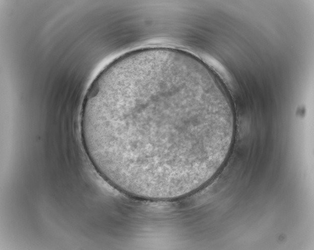 X0000090491288200708102211