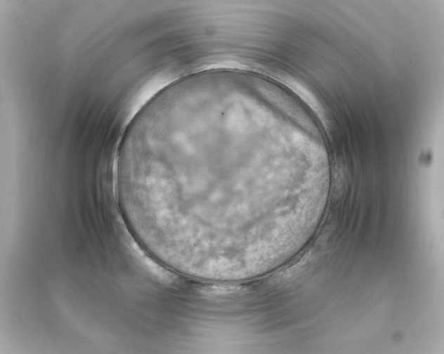 X0000090491290200708102210