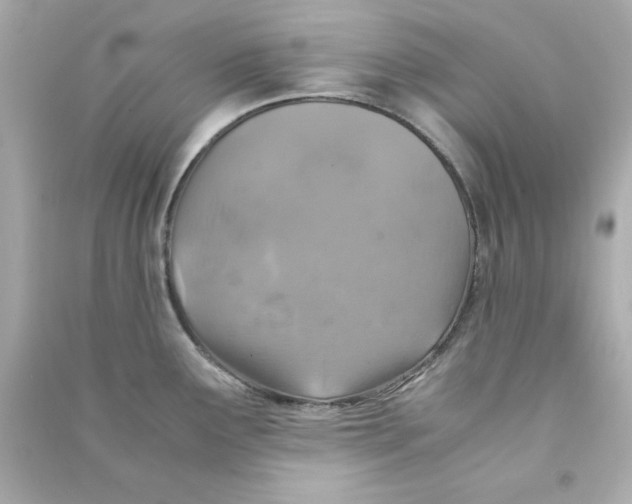 X0000090491291200708102210