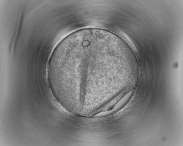 X0000090491292200708102210