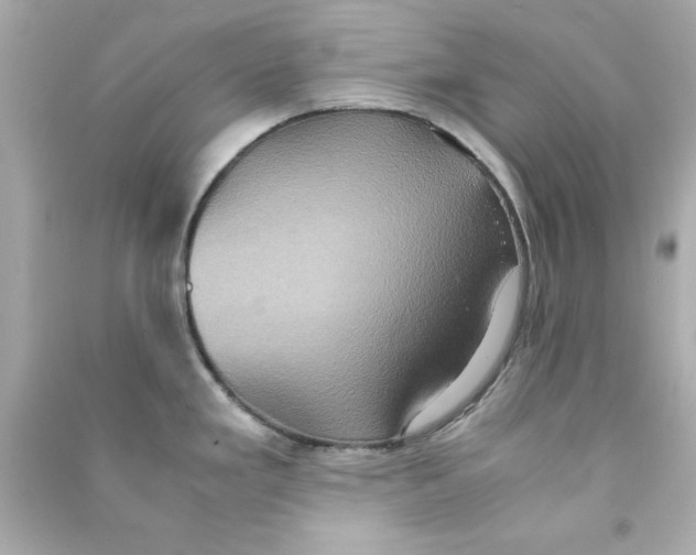 X0000090491293200708102210