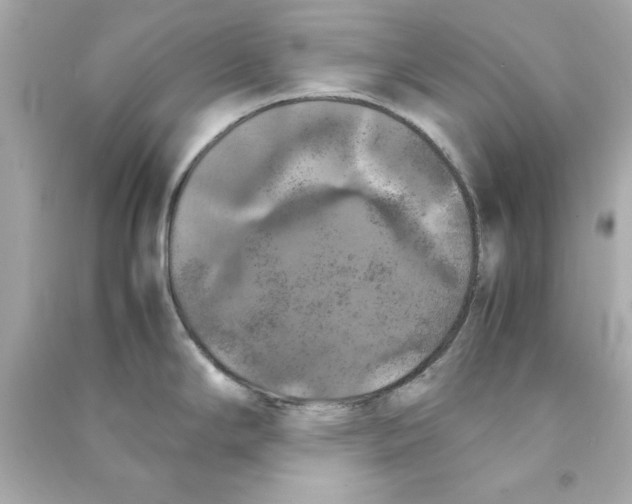 X0000090491294200708102210