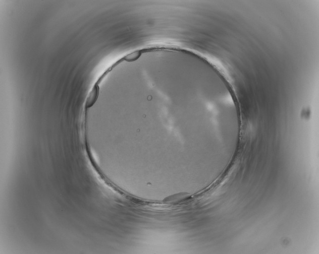 X0000090491295200708102210