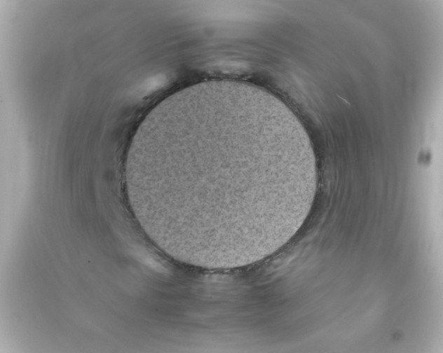 X0000090491297200708102210