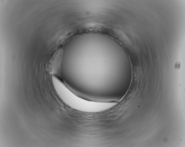 X0000090491298200708102210