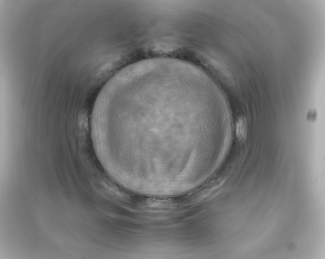 X0000090491299200708102210