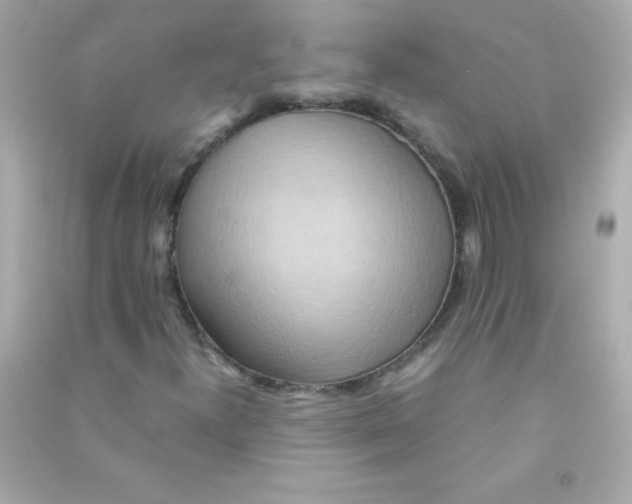 X0000090491300200708102210