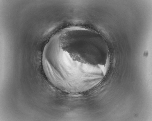 X0000090491301200708102210