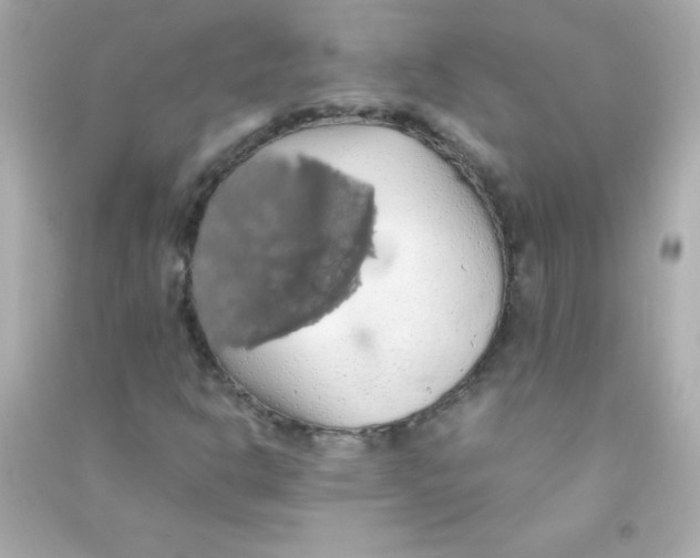 X0000090491302200708102210