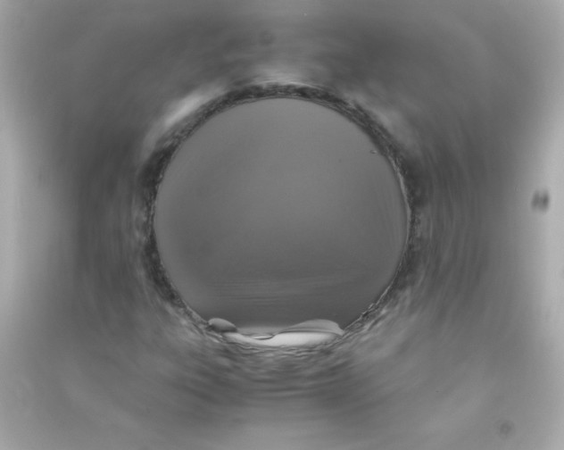 X0000090491303200708102210