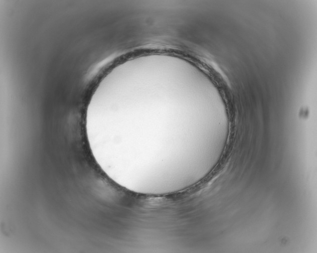 X0000090491304200708102210