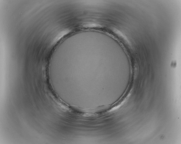 X0000090491305200708102210