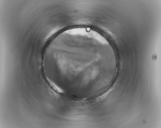 X0000090491306200708102210