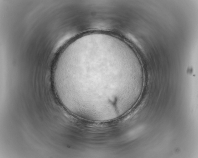 X0000090491307200708102210