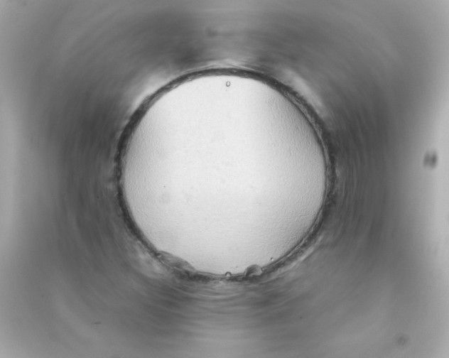 X0000090491308200708102210