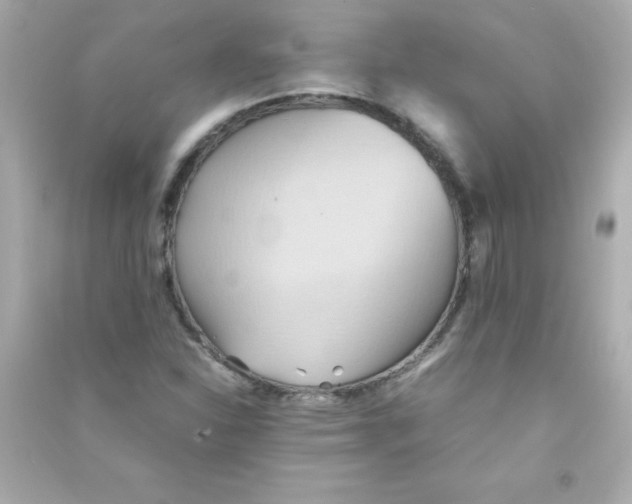 X0000090491310200708102210