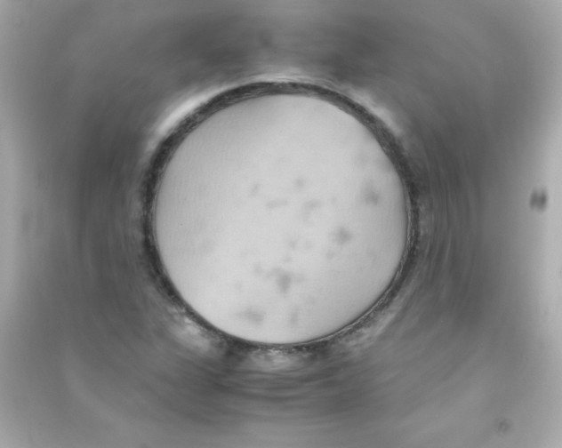 X0000090491311200708102210