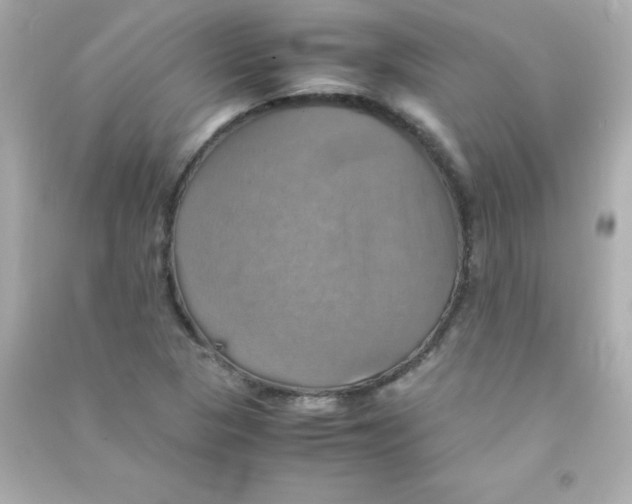 X0000090491313200708102210