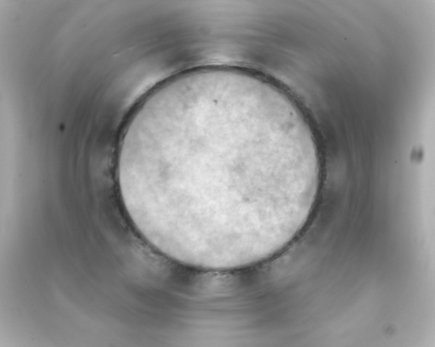 X0000090491314200708102210