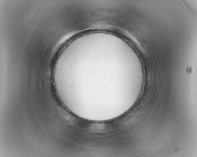 X0000090491315200708102210