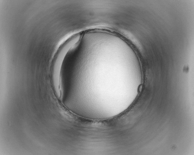 X0000090491316200708102210