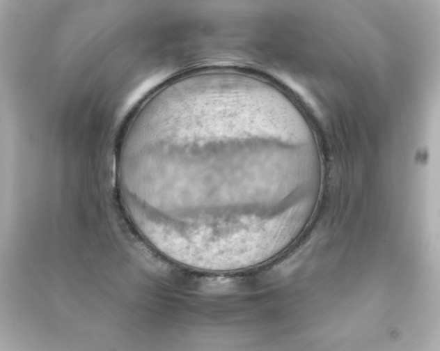 X0000090491317200708102210