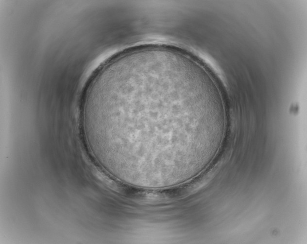 X0000090491318200708102210