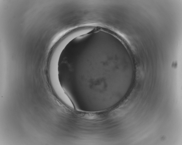 X0000090491319200708102210