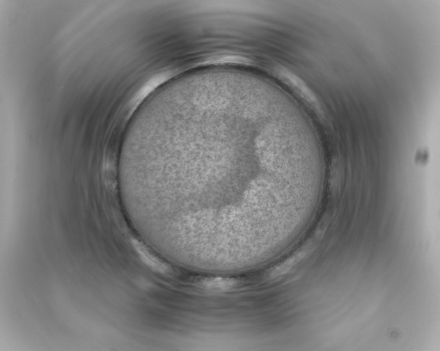 X0000090491321200708102210