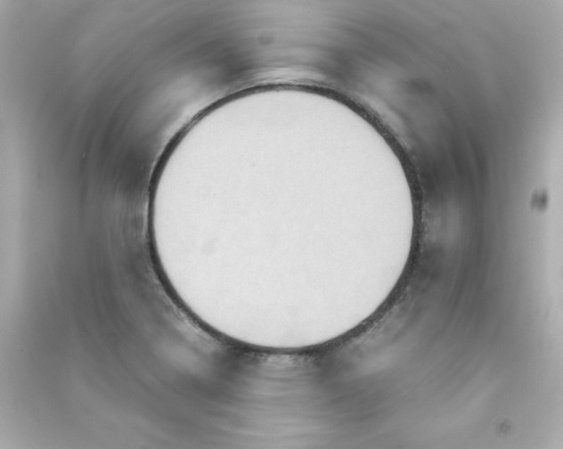 X0000090491322200708102210