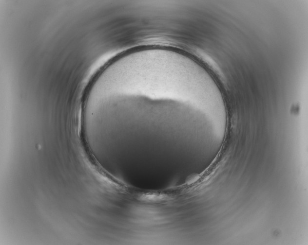 X0000090491323200708102210