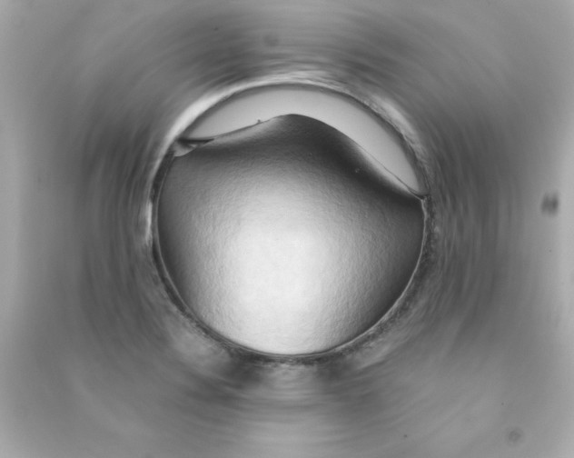 X0000090491324200708102210