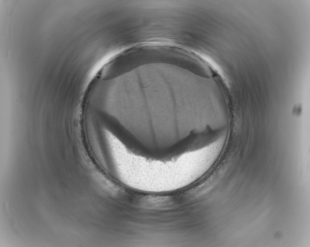 X0000090491325200708102210