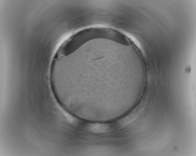 X0000090491327200708102210