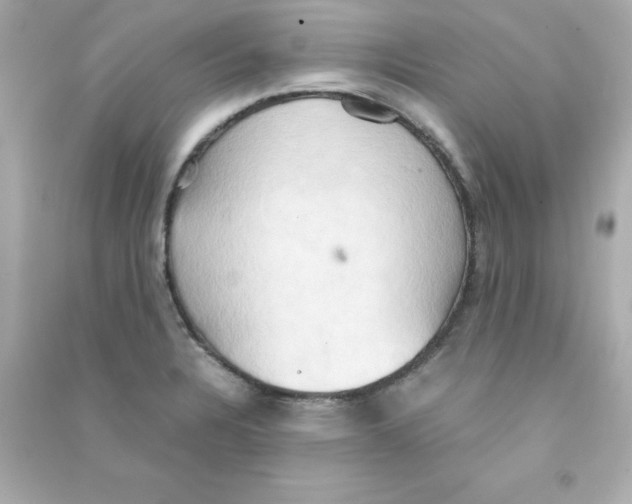 X0000090491328200708102210