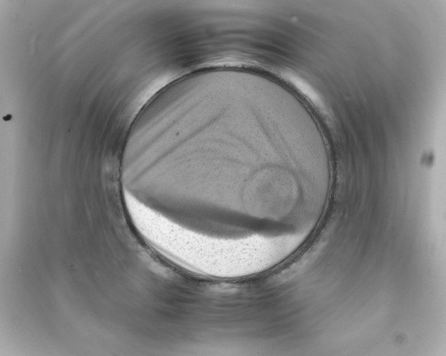 X0000090491329200708102210