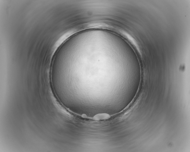 X0000090491330200708102210