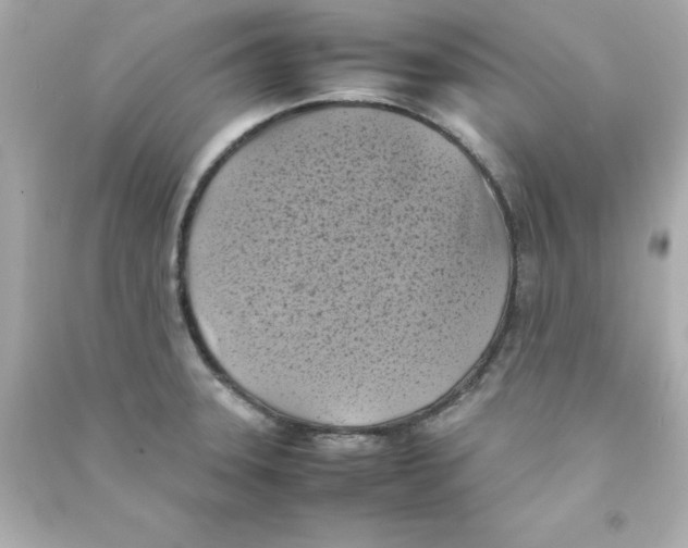 X0000090491331200708102210