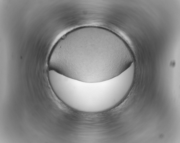 X0000090491332200708102210