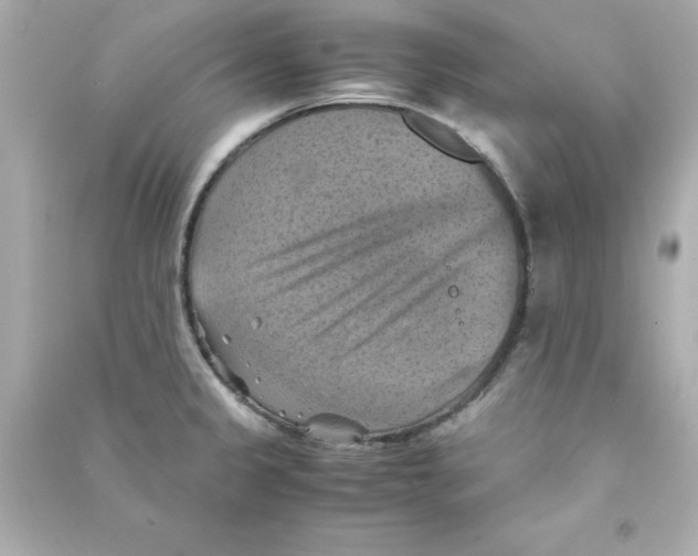 X0000090491333200708102210