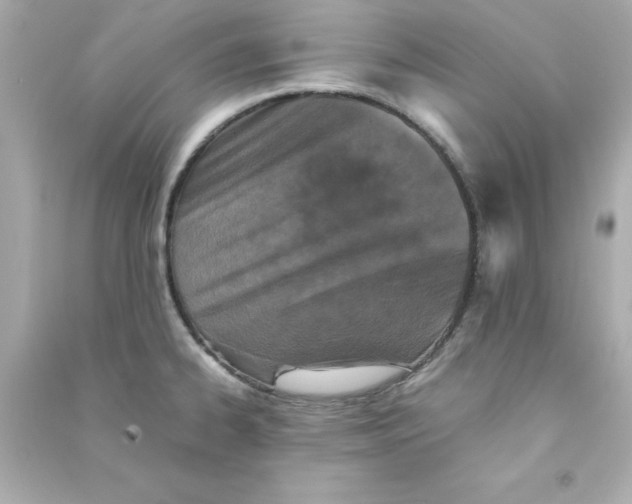 X0000090491334200708102210