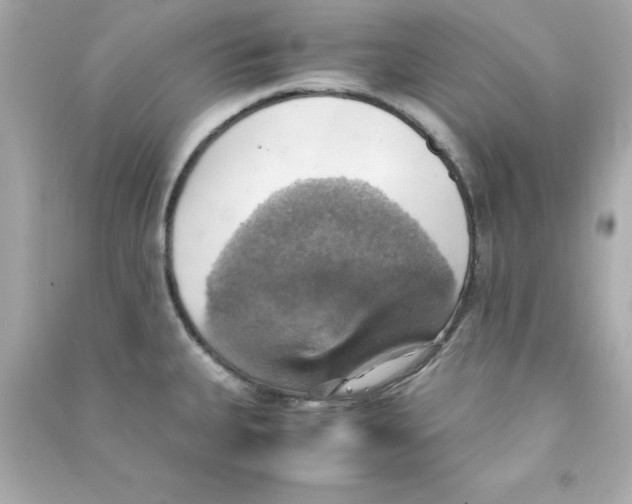 X0000090491335200708102210