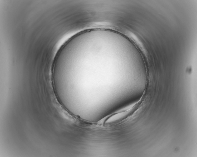 X0000090491336200708102210