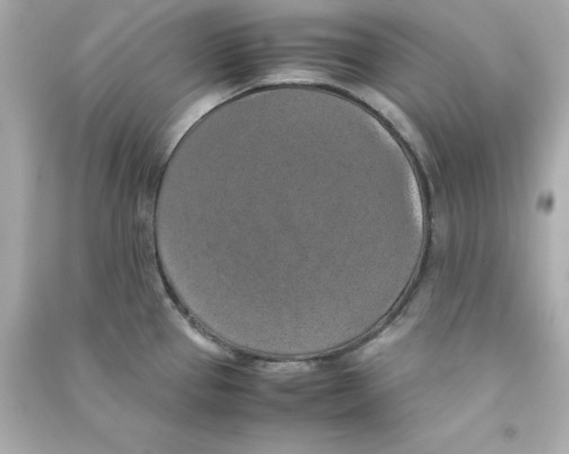 X0000090491337200708102210