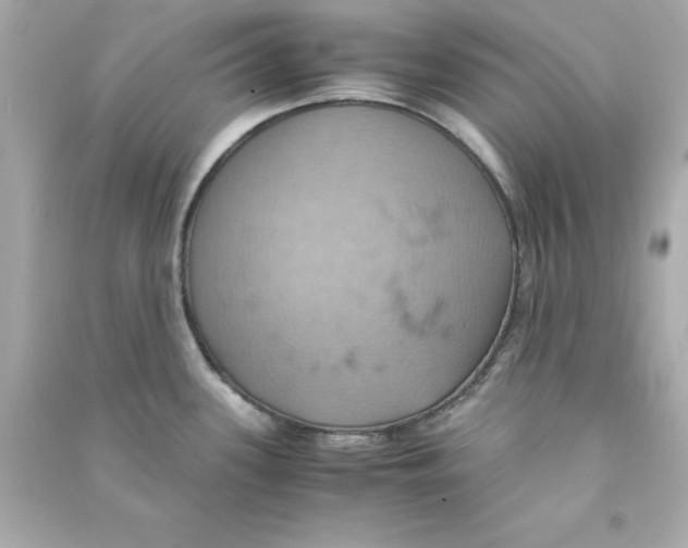 X0000090491339200708102210