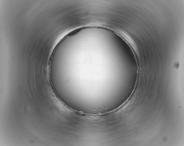 X0000090491340200708102210